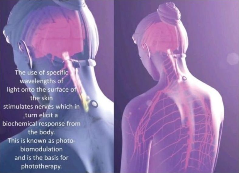 How it Works - Trimmed